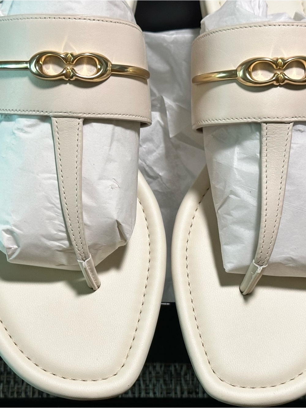 Coach Jada Chalk Leather Thong Sandals with Gold Hardware